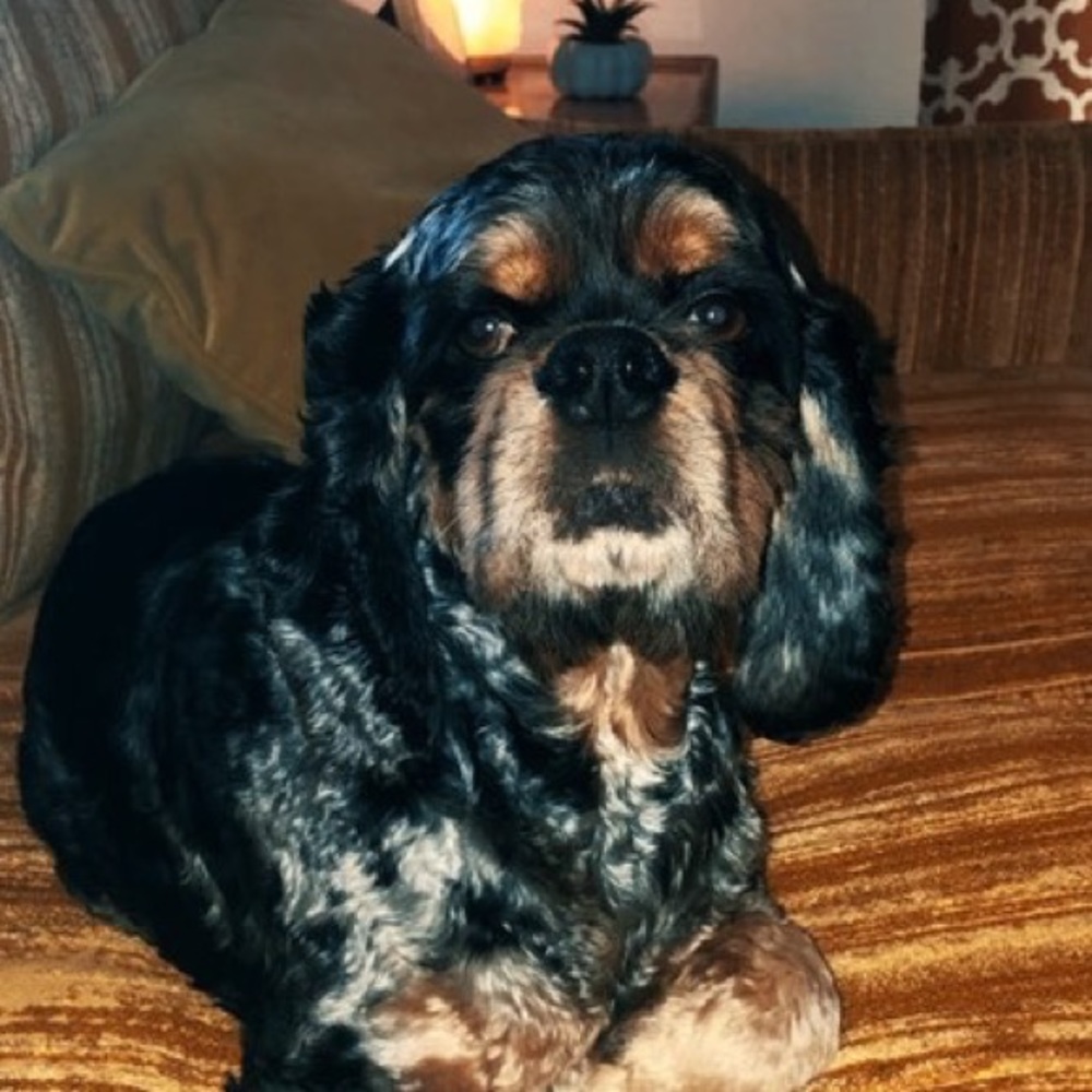 Meet your Posher, Jacob